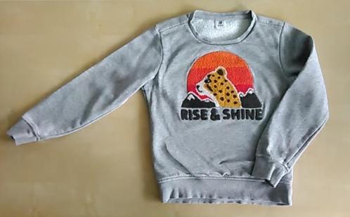 Grijze trui Cheeta, maat 122/128, Enfants & Bébés, Vêtements enfant | Taille 122, Utilisé, Garçon, Pull ou Veste, Enlèvement ou Envoi