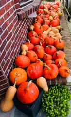 Soep Pompoenen, Diversen, Ophalen