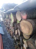 bois de chauffage à vendre, Frêne, 6 m³ ou plus, Enlèvement, Bûches