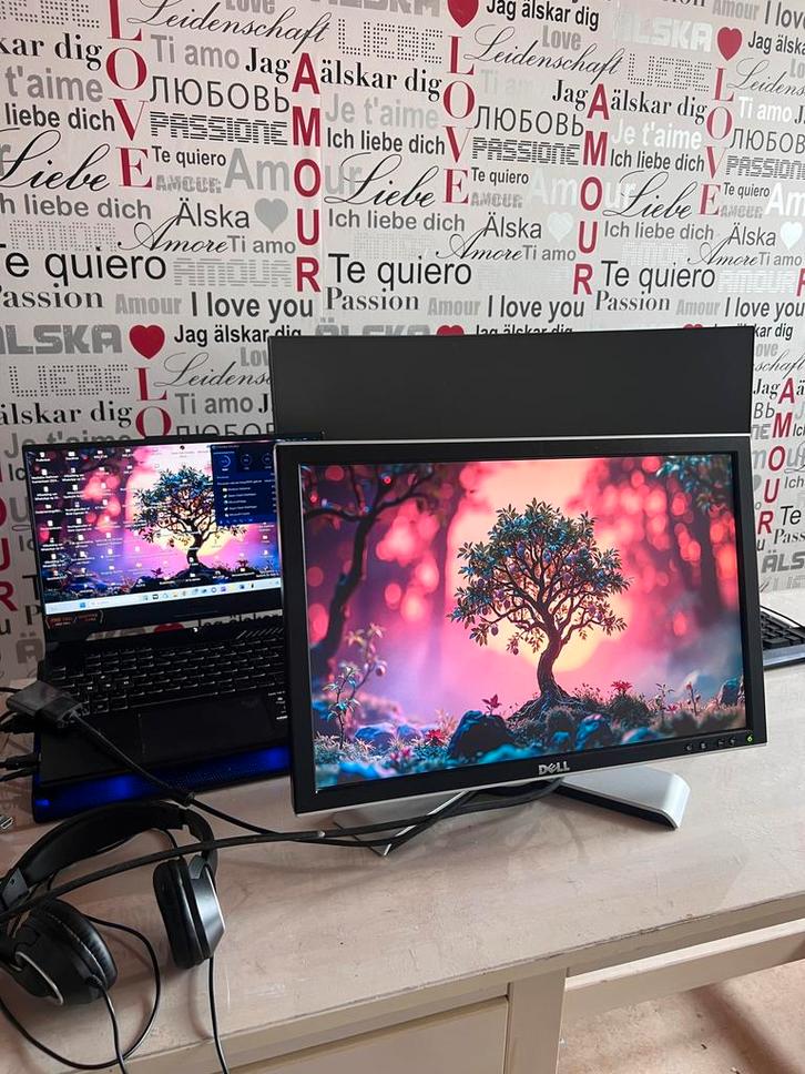 Dell scherm/monitor, Computers en Software, Monitoren, DVI, Gaming, In hoogte verstelbaar, HD, Ophalen