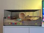 Hamster kooi, Dieren en Toebehoren, Knaagdieren en Konijnen | Hokken en Kooien, Minder dan 60 cm, Kooi, Hamster, Ophalen of Verzenden