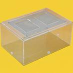 Fourmis XXL Outside World, Animaux & Accessoires, Fourmis