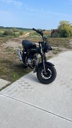 Dax skyteam mat zwart, Sportuitlaat, Particulier, Overig, 50 cc