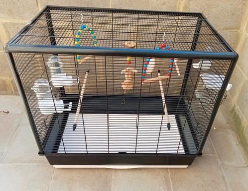 Parkietenkooi met alle accessoires, Dieren en Toebehoren, Vogels | Hokken en Kooien, Nieuw, Vogelkooi, Ophalen