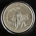 Zilveren munt 1 kilo, Somalia elephant 2021 999.9, Ophalen of Verzenden, Zilver