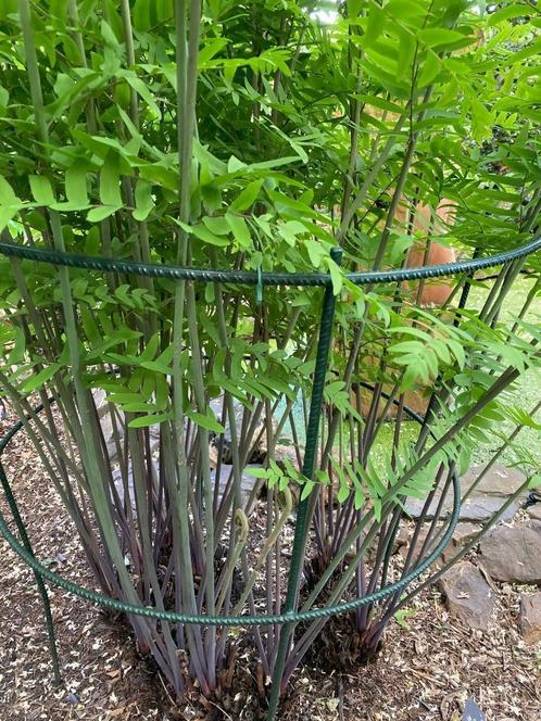 Plantkorven in poederlak, Tuin en Terras, Tuinhekken en Hekwerk, Zo goed als nieuw, Overige typen, IJzer, Ophalen