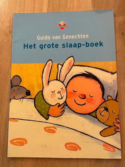 Het grote slaapboek, Boeken, Kinderboeken | Kleuters, Ophalen of Verzenden