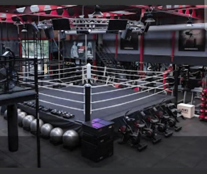 Boksring 6.8M x 6.8M binnenmaat, Sport en Fitness, Boksen, Zo goed als nieuw, Overige, Ophalen