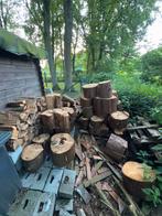 Perfect hout om te klieven 4 kuub ongeveer, Tuin en Terras, Brandhout, Minder dan 3 m³, Ophalen of Verzenden, Overige houtsoorten