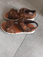 Sandalen nieuw maat 33 jongens, Kinderen en Baby's, Kinderkleding | Schoenen en Sokken, Ophalen, Nieuw