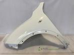 Aile avant gauche d'un Nissan Juke (326), -, -, 3 mois de garantie, Utilisé