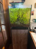 Zeer mooie aquarium perfect eco systeem, Dieren en Toebehoren, Ophalen, Zo goed als nieuw