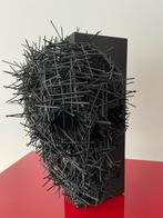 Steve Locatelli Scratch 4D, Ophalen