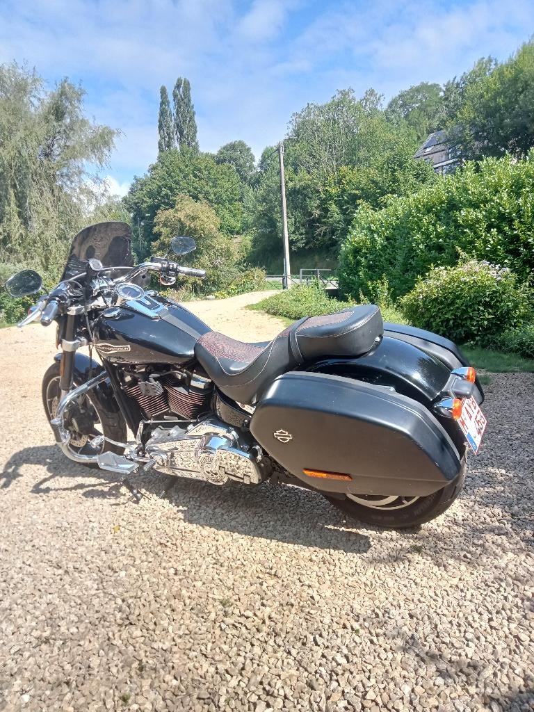 Harley-Davidson  sport glide, Particulier, Toermotor