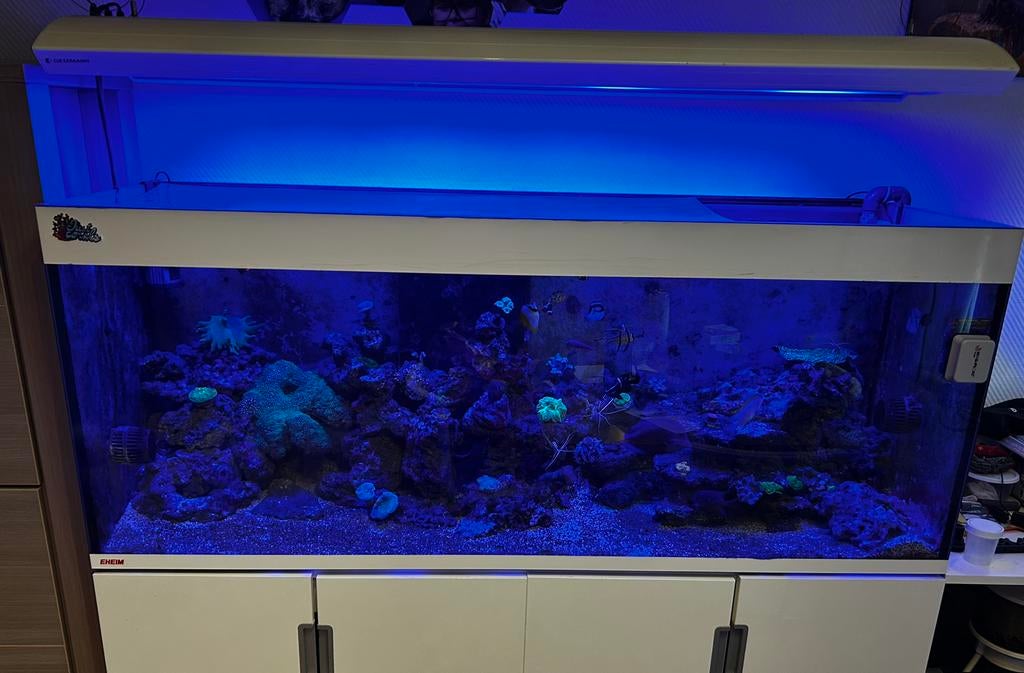 Aquarium  met verlichting en sump (zonder inhoud), Dieren en Toebehoren, Vissen | Aquaria en Toebehoren, Gebruikt, Leeg aquarium