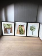 Kaders bloemen, Ophalen of Verzenden, Zo goed als nieuw