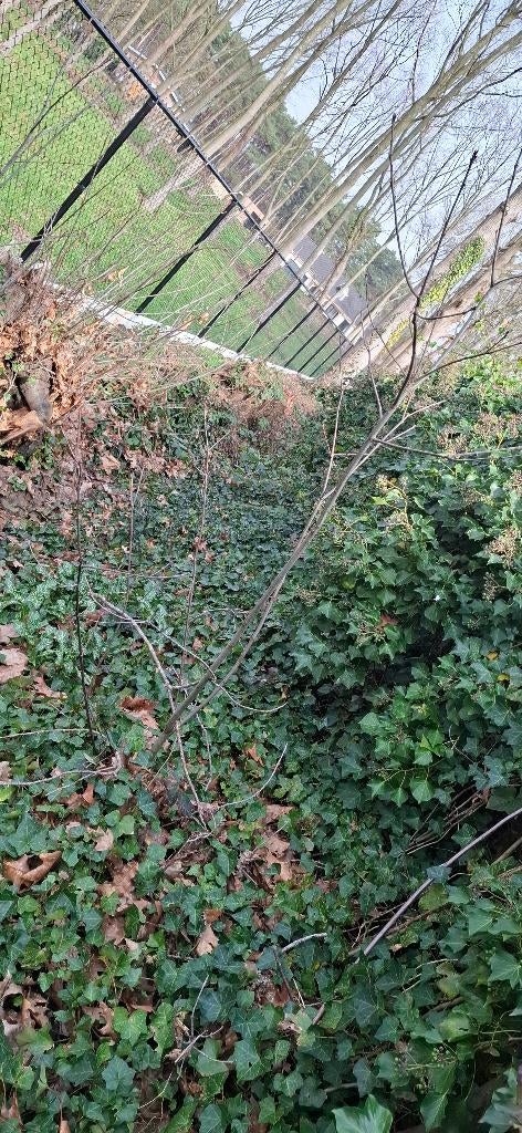 Tuin werken, Ophalen