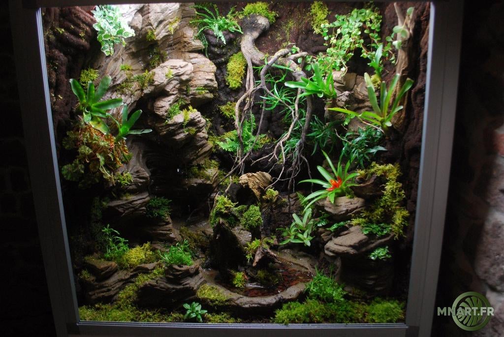 GEZOCHT: terrarium specialist, Ophalen