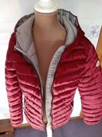 Veste anorak bordeaux Moncler, Vêtements | Femmes, Vestes | Été, Enlèvement, Gris