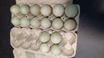 Broedeieren 1,50 euro per stuk, Dieren en Toebehoren, Ophalen, Zo goed als nieuw