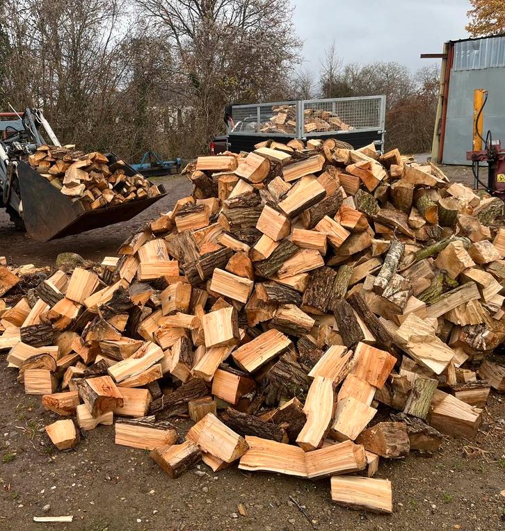 Gemengd Brandhoud, Jardin & Terrasse, Bois de chauffage, Bûches, Enlèvement