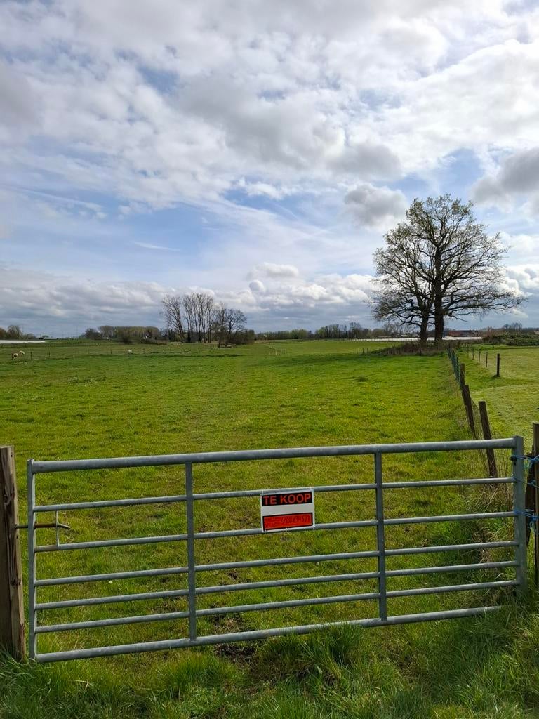 Weiland te koop, Immo, Terrains & Terrains à bâtir