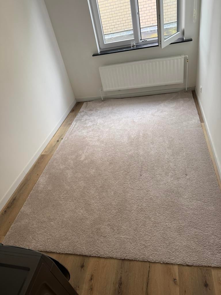 200*290cm tapijt, Huis en Inrichting, Stoffering | Vloerbedekking, Ophalen, Zo goed als nieuw, Beige, Tapijt