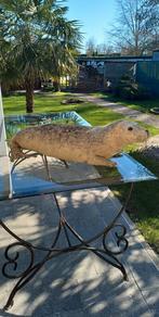 taxidermie opgezette zeehond, Collections, Collections Animaux, Enlèvement ou Envoi, Comme neuf, Animal sauvage, Animal empaillé