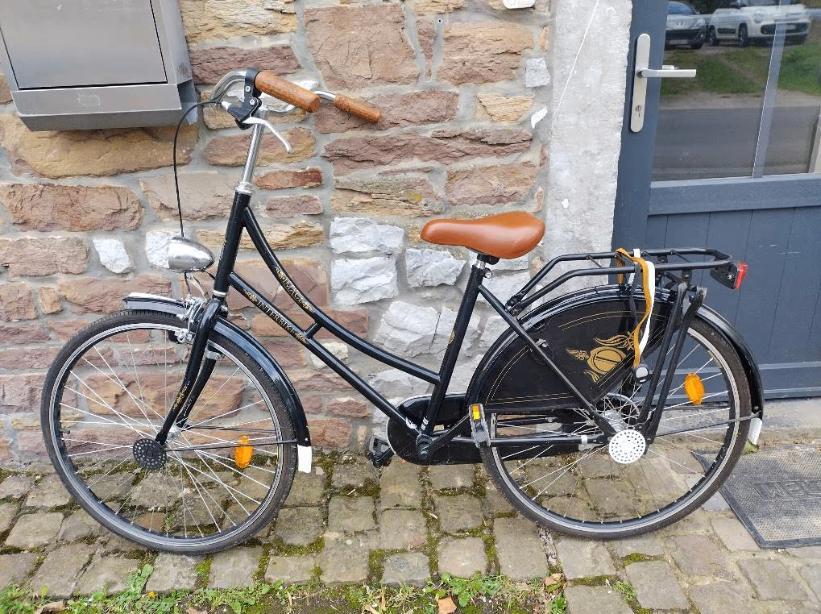 Vélo adulte de style hollandais, Enlèvement, Comme neuf, Autres marques
