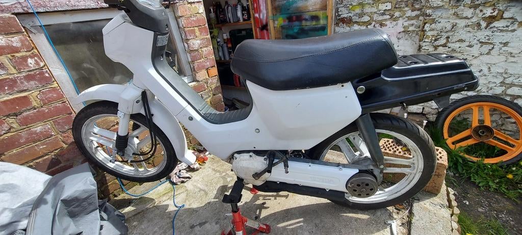 Honda wallaroo classe B, Autres modèles, Classe B (45 km/h), Enlèvement, Utilisé