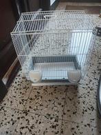 Vogelkooi, Animaux & Accessoires, Oiseaux | Cages & Volières, Enlèvement, Cage à oiseaux