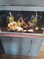 Aquarium Aquatlantis, Dieren en Toebehoren, Ophalen, Gebruikt, Gevuld zoetwateraquarium