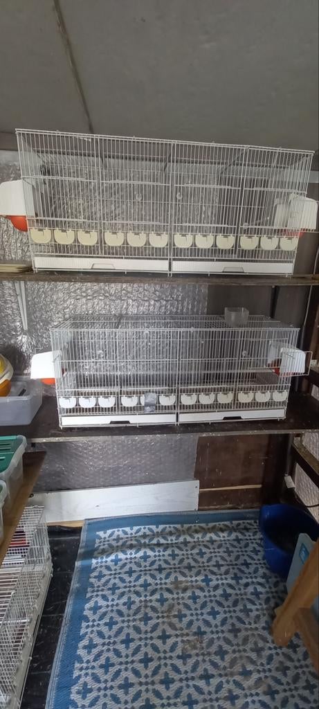 5 maal  kweekkooien 3 draadkooien en 2 houten kooien