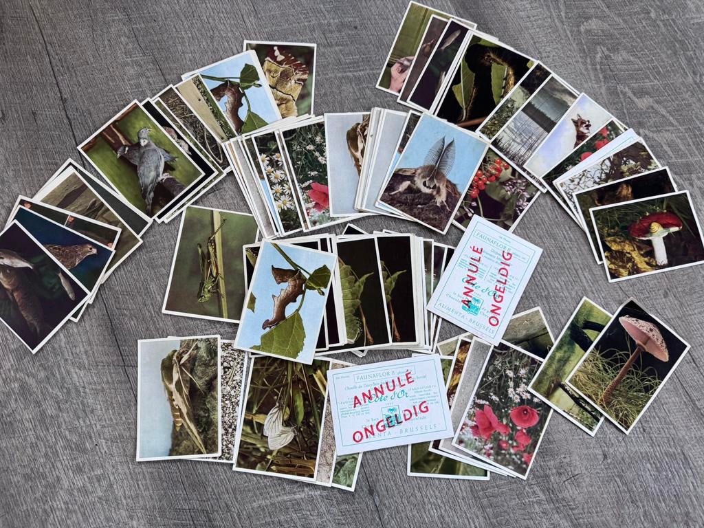 Côte d'Or Faunaflor 2, Collections, Actions de supermarché, Enlèvement ou Envoi