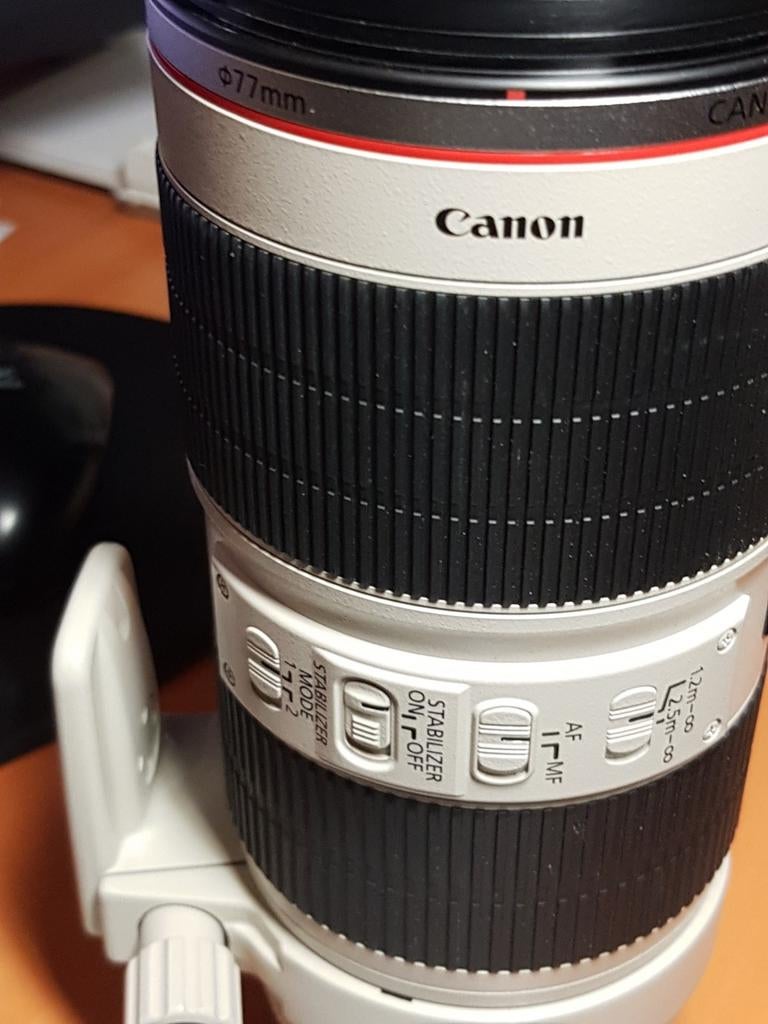 Canon L 70-200 mm f2.8 USM2 lens, Ophalen