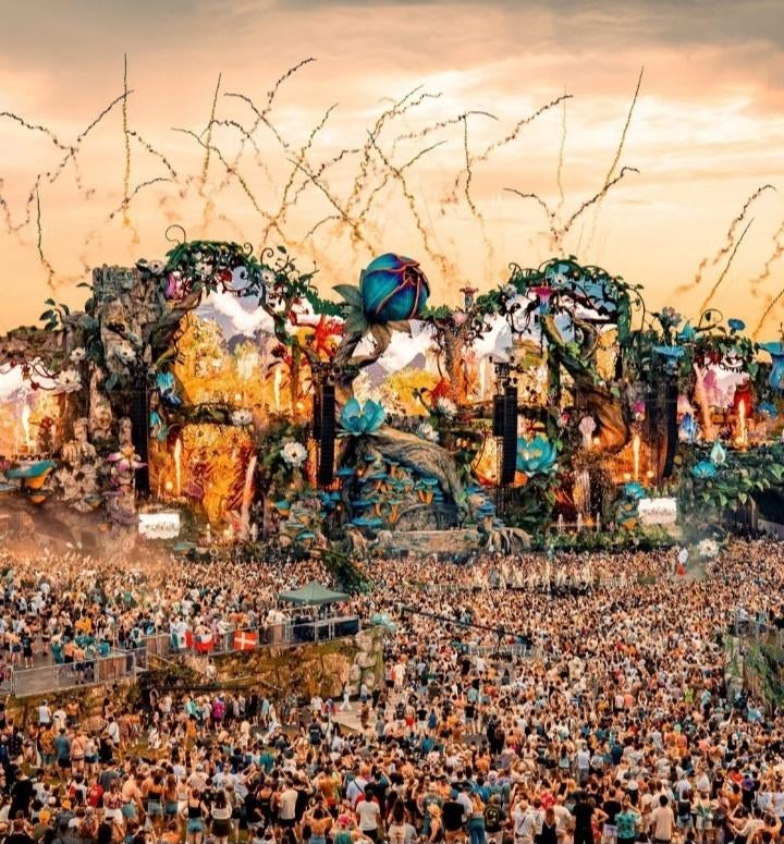 Billet Tomorrowland W2 Glorious Sunday, Une personne