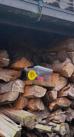 TE KOOP: Selectieve vallen aziatische hoornaar, Ophalen