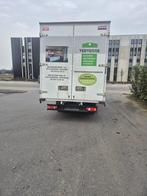 Nissan Cabstar - export - handelaar, Achat, Entreprise, 2 places, Boîte manuelle