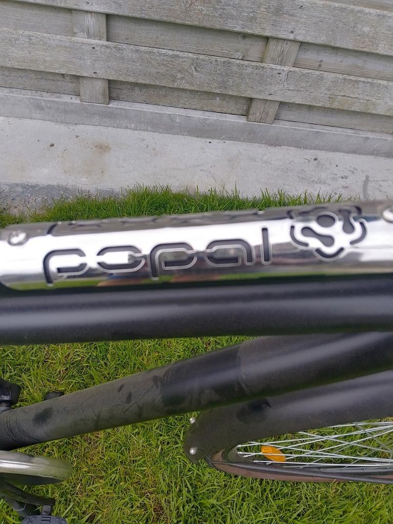 Herenfiets Popal Nieuw, 28 inch, Nieuw, 49 tot 53 cm, Ophalen