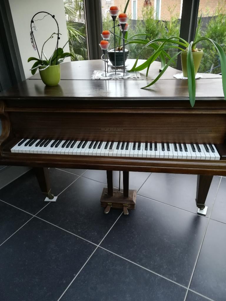 Vleugelpiano, Ophalen, Gebruikt, Bruin, Vleugel