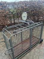Cage de pesée ovin, Animaux & Accessoires, Mouton