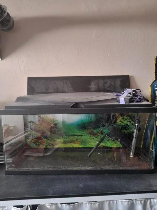 Aqarium 80 liter, Dieren en Toebehoren, Vissen | Aquaria en Toebehoren, Gebruikt, Leeg aquarium, Ophalen