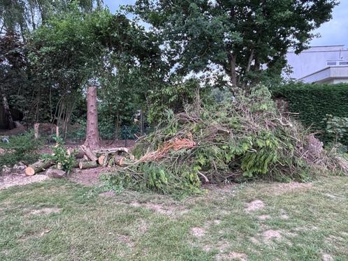 Gratis Brandhout, Tuin en Terras, Brandhout, Stammen, Ophalen