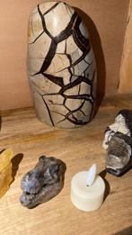 Septarie groot zwaar stuk, Envoi