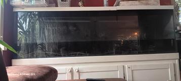 Aquarium 2m met kast, Enlèvement, Comme neuf