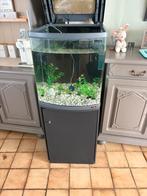 Aquarium met kast en toebehoorn, Dieren en Toebehoren, Vissen | Aquaria en Toebehoren, Ophalen, Gebruikt, Leeg aquarium