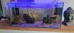 Aquarium 200l avec poisson et accesoire, Dieren en Toebehoren, Ophalen, Zo goed als nieuw