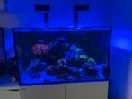 Redsea reefer xl 300, Dieren en Toebehoren, Ophalen, Zo goed als nieuw
