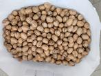 Biologische walnoten vers geraapt 12 kg, Diversen, Ophalen