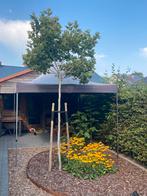 partytent 3 op 4, Tuin en Terras, Partytenten, Ophalen, Partytent